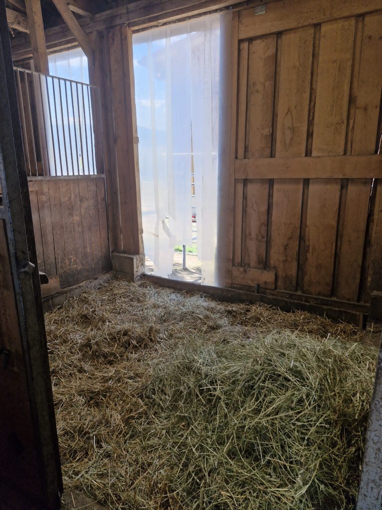 Box innen