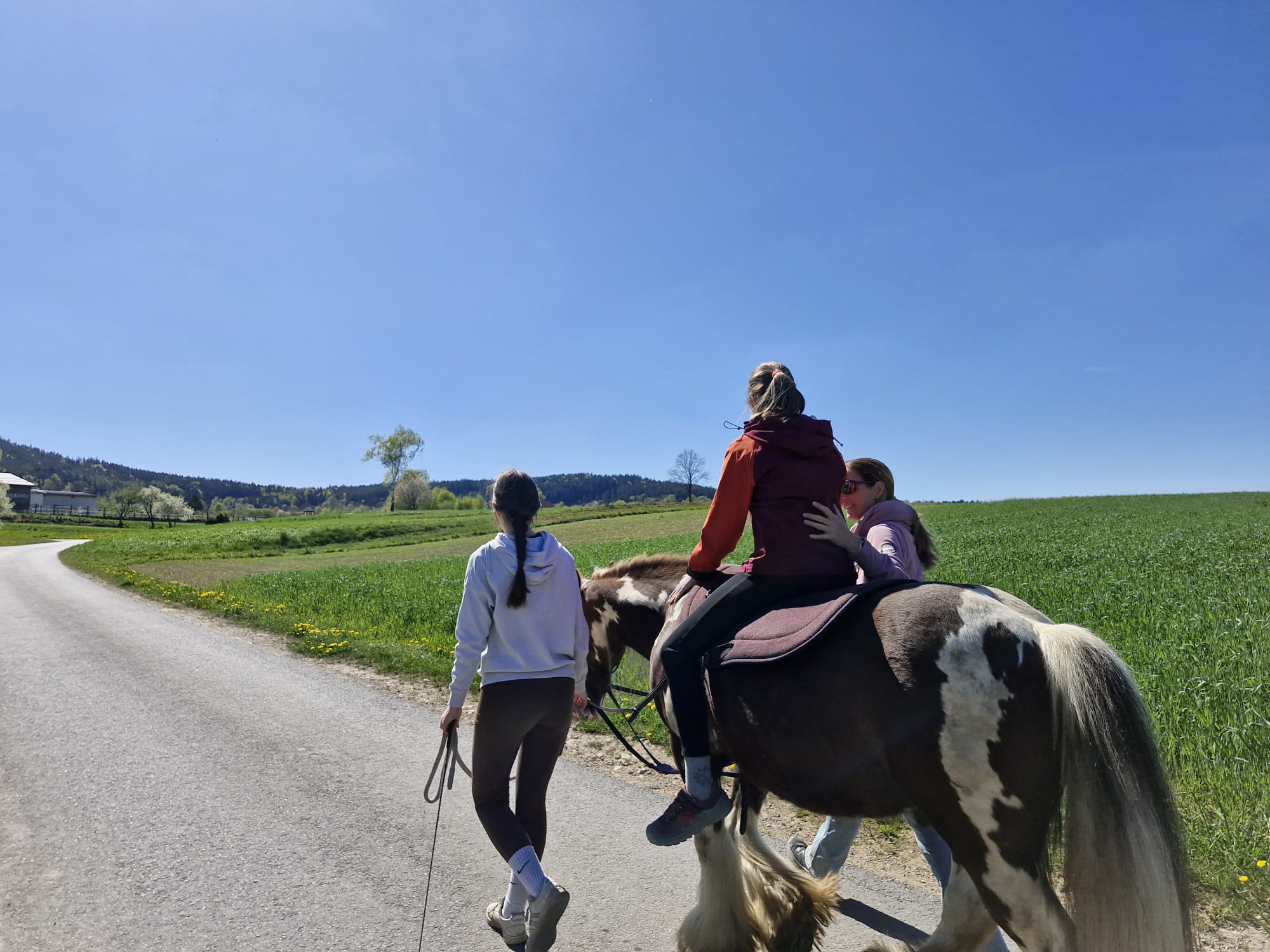 Hippotherapie – ein Kind wird auf dem Pferd geführt