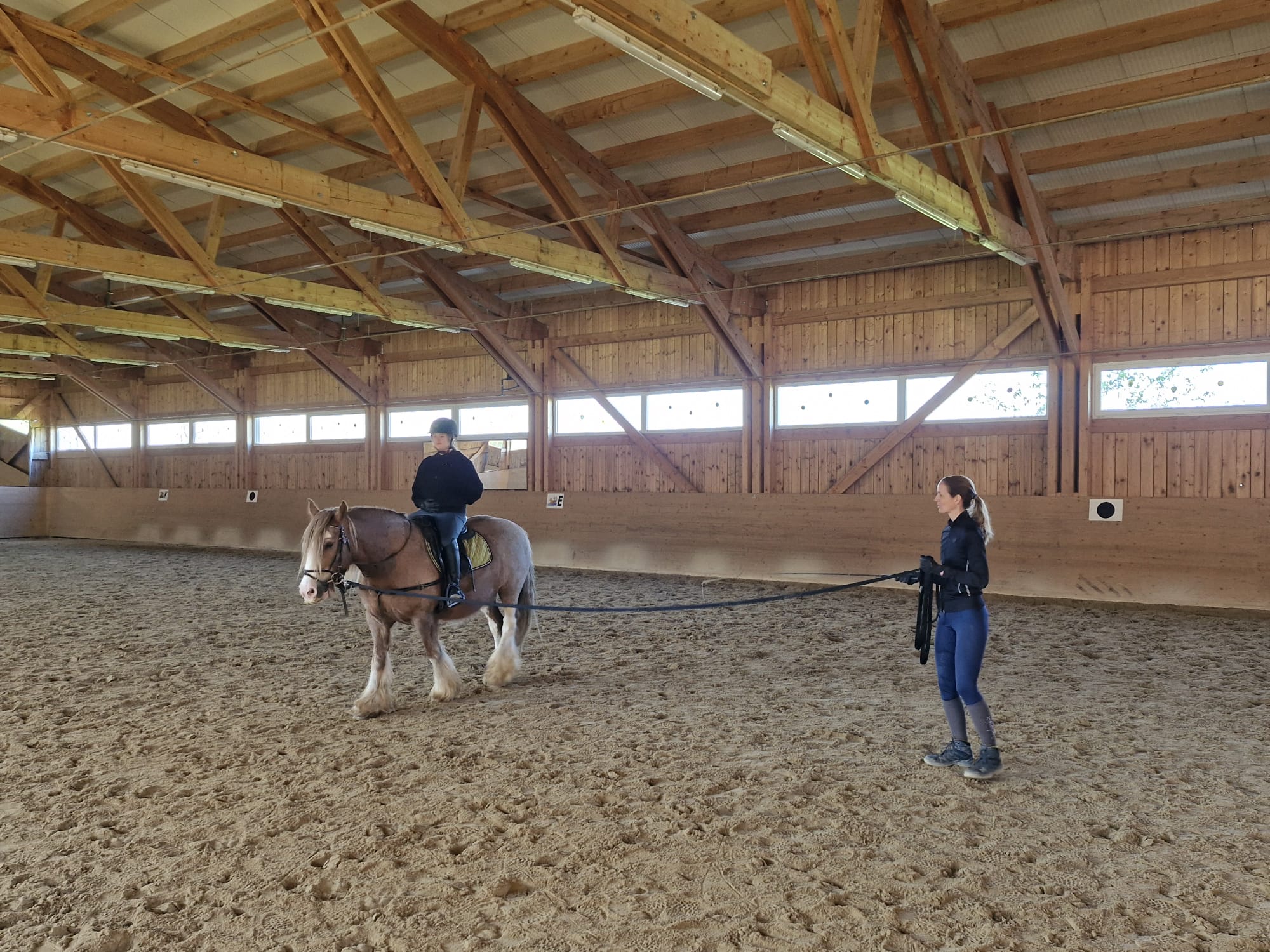 Reitunterricht an der Sitzlonge in der Reithalle