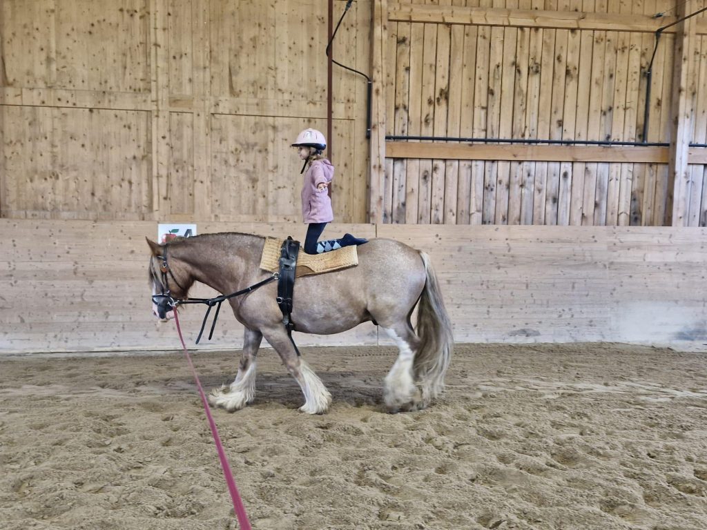 Kind beim Voltigieren auf dem Pony in der Reithalle