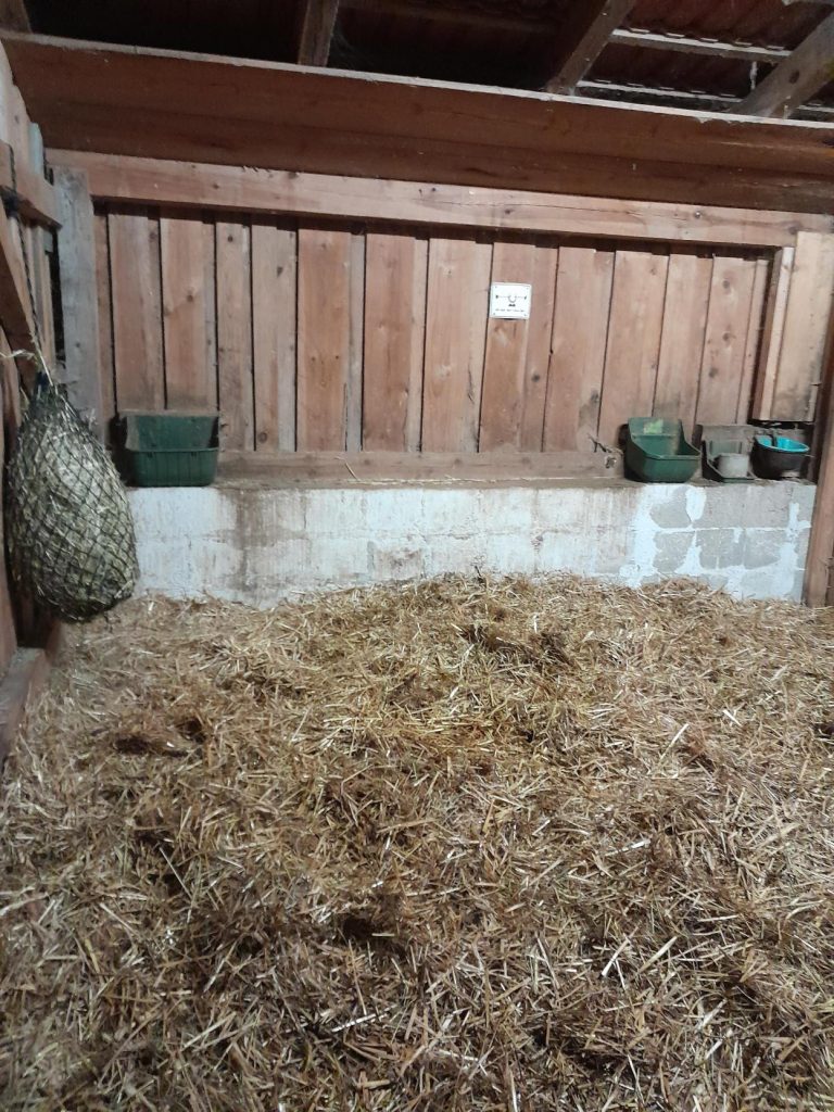 Zweierstall Box