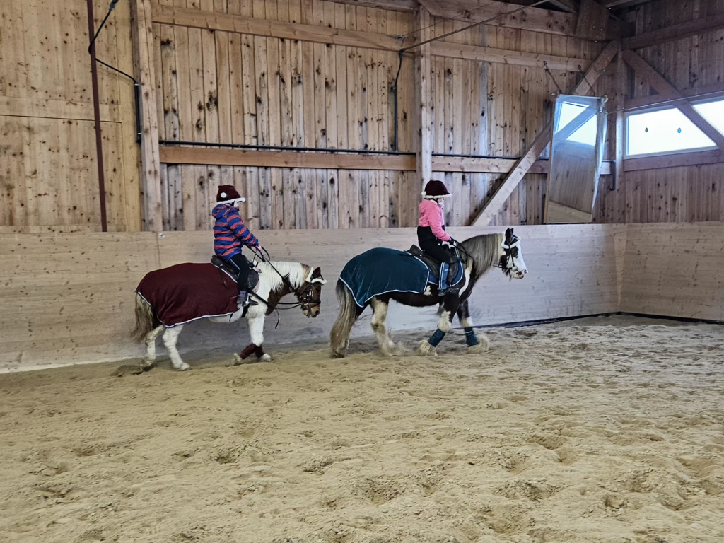 Reitunterricht in der Zweierstunde